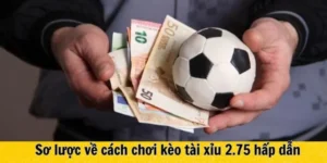 Cách Chơi Kèo 2.75 Chuẩn Xác Nhất Cho Người Mới Và Dân Cá Độ Chuyên Nghiệp
