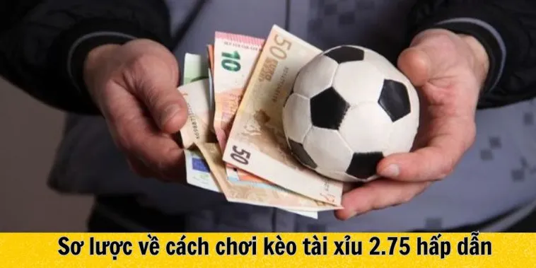 Cách Chơi Kèo 2.75 Chuẩn Xác Nhất Cho Người Mới Và Dân Cá Độ Chuyên Nghiệp