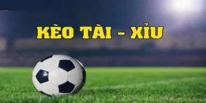 Cách Chơi Kèo Tài Xỉu Hiệu Quả Cho Người Mới Bắt Đầu Trong Cá Cược