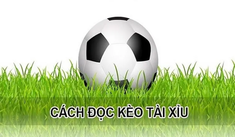 Cách Chơi Kèo Tài Xỉu Hiệp 1 Hiệu Quả Và Mẹo Tính Toán Chuẩn Xác