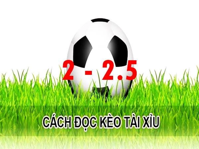 Cách Chơi Kèo 2.25 Chuẩn Xác Cho Người Mới Và Kinh Nghiệm Thắng Lớn