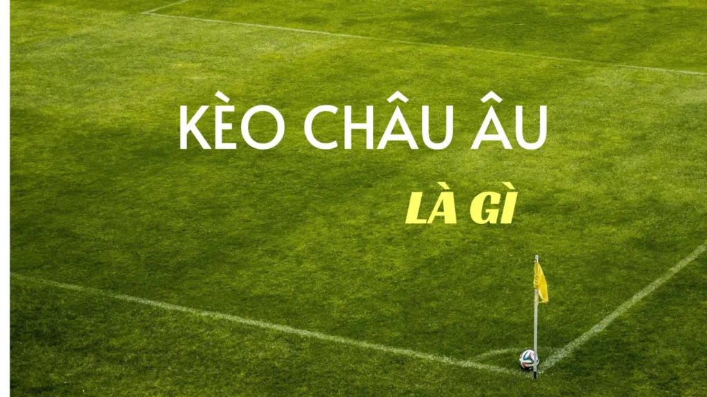 Cách Chơi Kèo Châu Âu Chuẩn Xác Từ A Đến Z Cho Người Mới Bắt Đầu