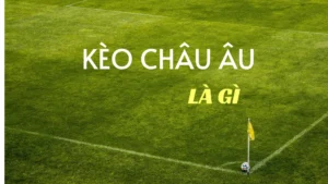 Cách Chơi Kèo Châu Âu Chuẩn Xác Từ A Đến Z Cho Người Mới Bắt Đầu
