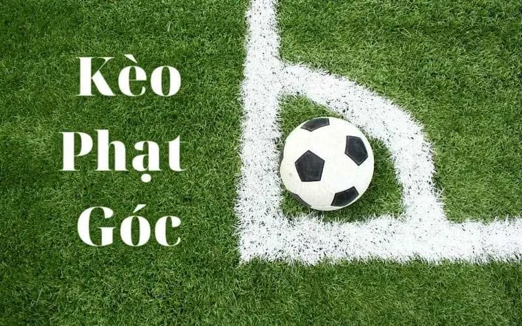 Cách Chơi Kèo Phạt Góc Bóng Đá Hiệu Quả Cho Người Mới Và Dân Cá Cược