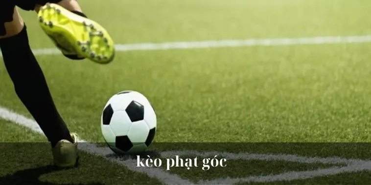 Cách Chơi Kèo Phạt Góc Bóng Đá Hiệu Quả Cho Người Mới Và Dân Cá Cược