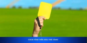Cách Chơi Kèo Thẻ Vàng Chuẩn Xác Nhất Cho Người Mới Bắt Đầu