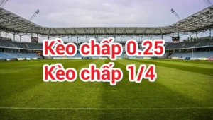 Cách Chơi Kèo Chấp 0.25 Trong Bóng Đá Chuẩn Xác Và Hiệu Quả Nhất